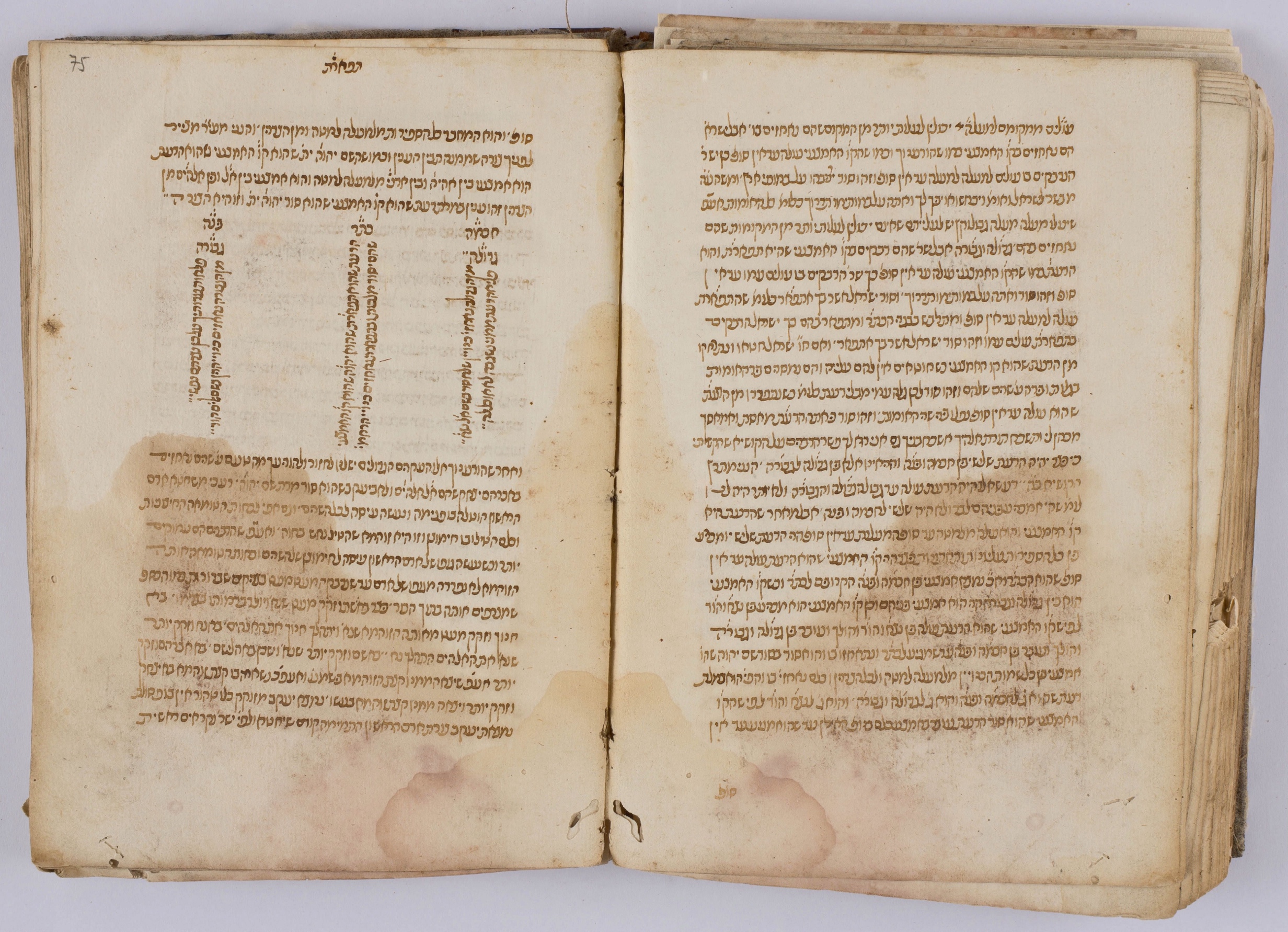 איור מתוך המאמר המקורי