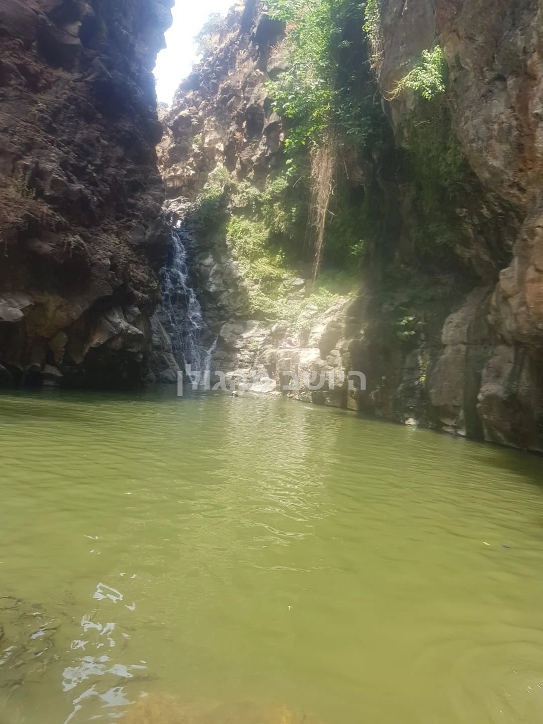 מפל קטן ובריכת מים בין קירות סלע וצמחייה בנקיק השחור