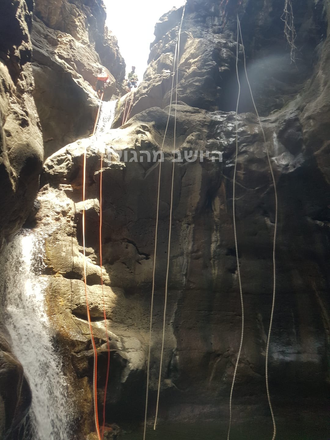 אור שמש ומים זורמים בין קירות סלע גבוהים בנקיק השחור
