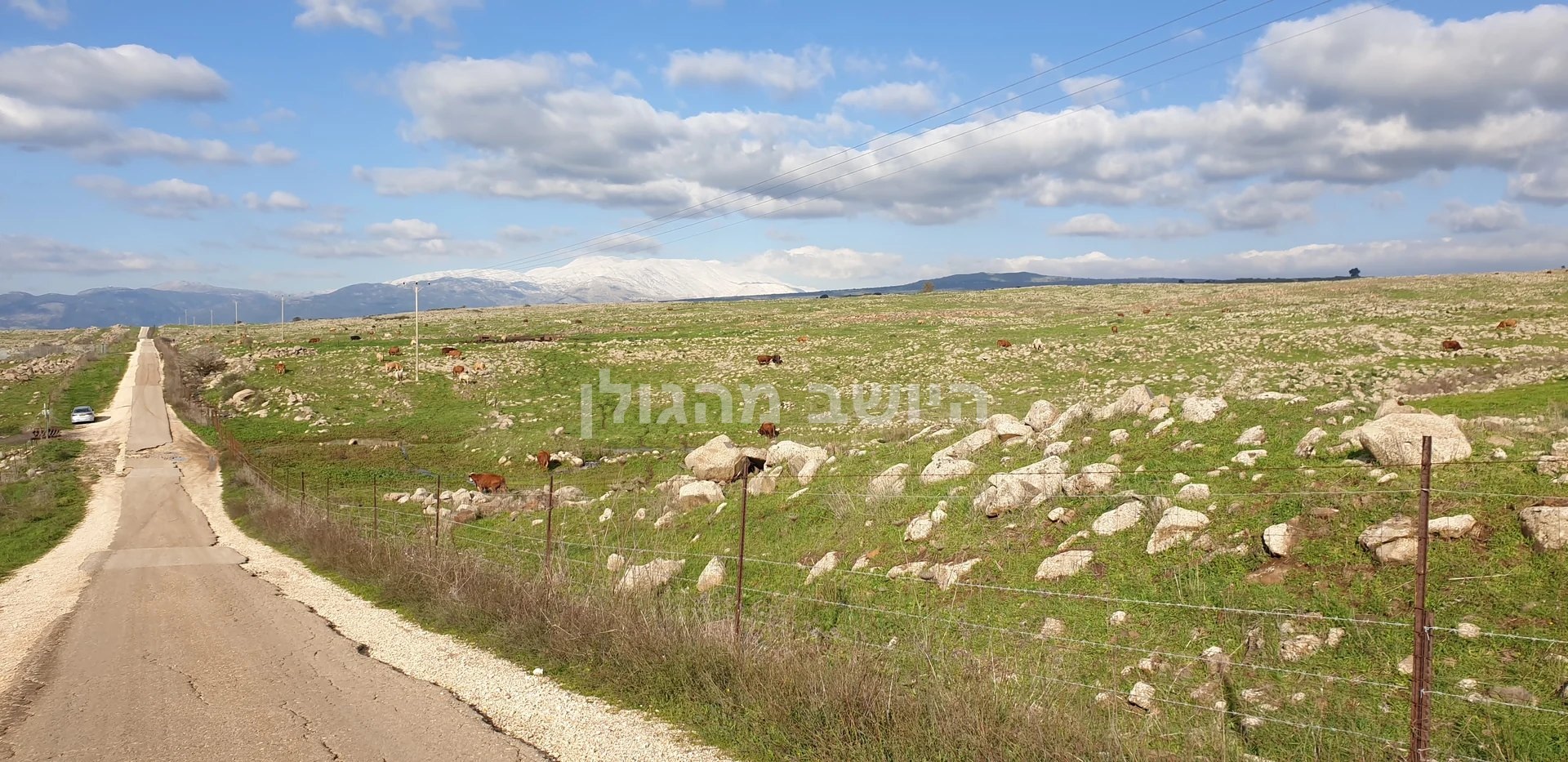מבט צפונה על ציר הנפט: דרך בין שדות ירוקים וסלעים, וברקע החרמון